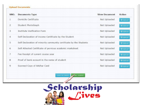 National Scholarship Portal Application Form