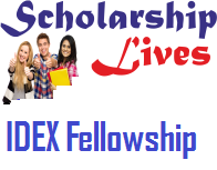 IDEX Fellowship
