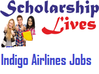 Indigo Airlines Jobs